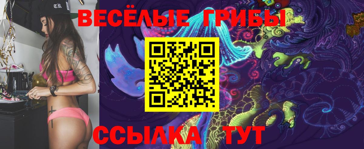 Реутов  Галлюциногенные грибы GOLDEN TEACHER  Вход с VPN 