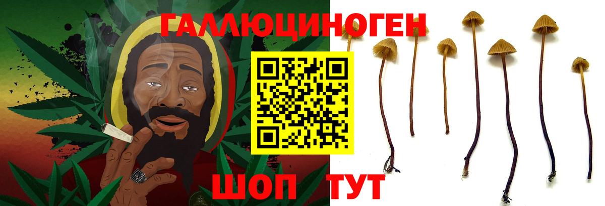 Галлюциногенные грибы прущие грибы Реутов